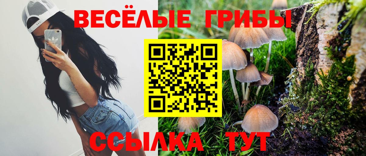 Дзержинск  Псилоцибиновые грибы ЛСД  Вход с VPN  Псилоцибиновые грибы MAGIC MUSHROOMS 