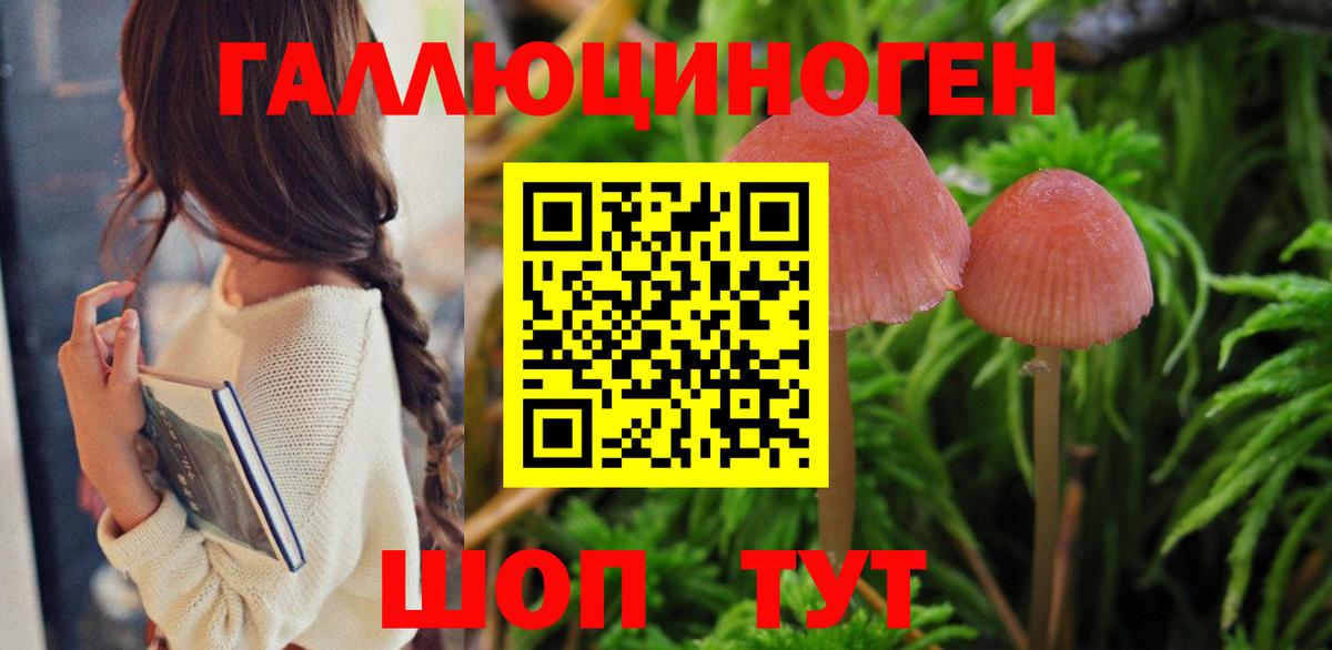 Галлюциногенные грибы GOLDEN TEACHER Дзержинск
